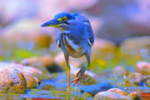 激情四射！2022年卡塔尔世界杯亚洲区预选赛18强赛况全记录世界杯亚洲区预选赛18强