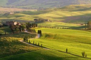 2022年卡塔尔世界杯亚洲区预选赛规则解析世界杯亚洲区预选赛晋级规则